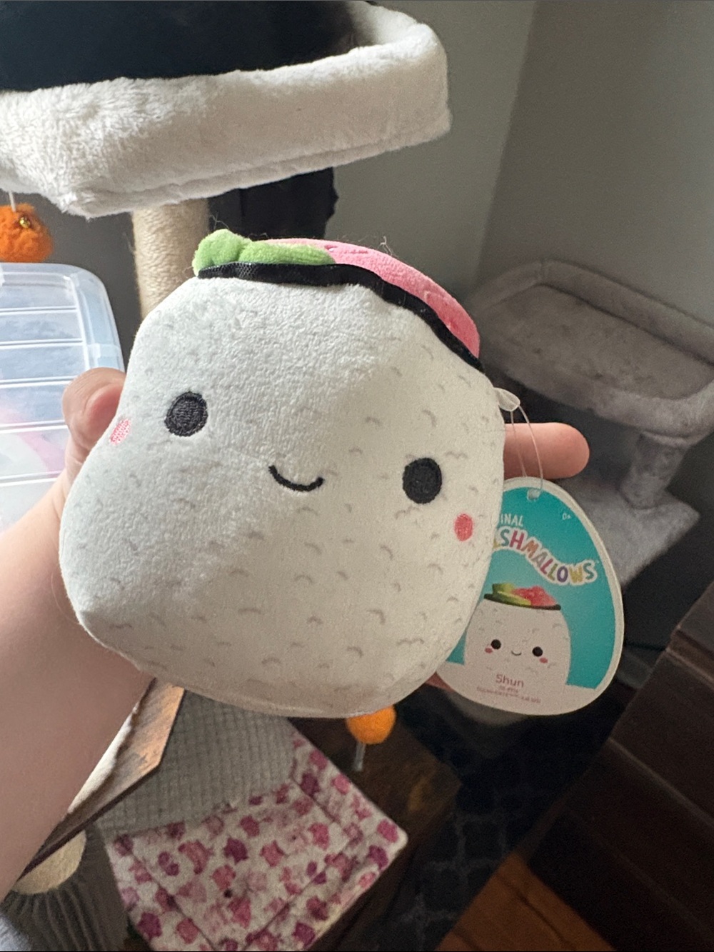 Shun Sushi Squishmallow